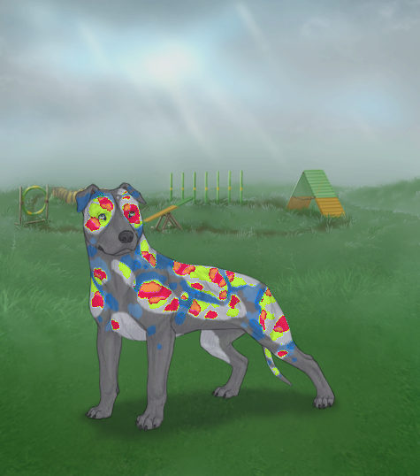 custom.php?coat=%2Fhome%2Farobyn7%2Fpubl