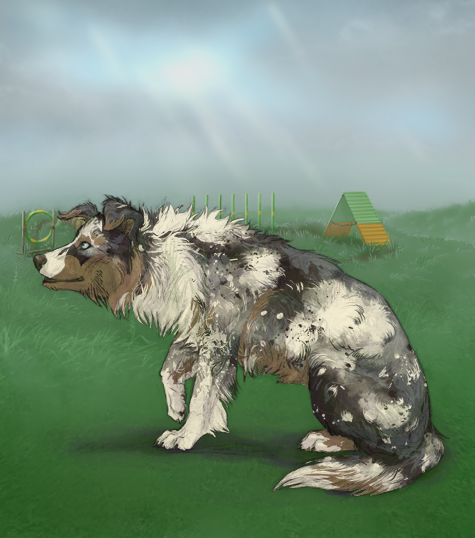 custom.php?coat=%2Fhome%2Farobyn7%2Fpubl