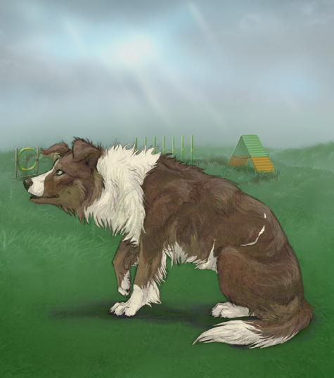 custom.php?coat=%2Fhome%2Farobyn7%2Fpubl