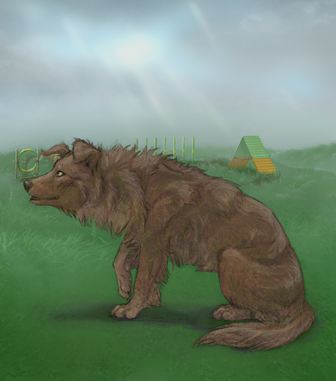 custom.php?coat=%2Fhome%2Farobyn7%2Fpubl