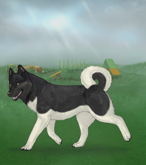 custom.php?coat=%2Fhome%2Farobyn7%2Fpubl