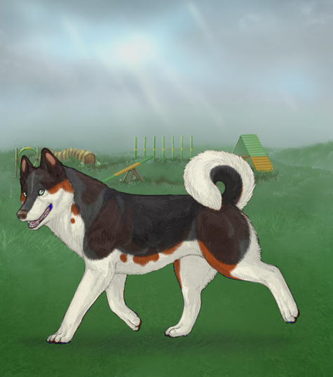 custom.php?coat=%2Fhome%2Farobyn7%2Fpubl