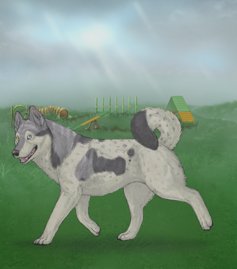 custom.php?coat=%2Fhome%2Farobyn7%2Fpubl