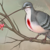 A Bleeding Heart dove holding a sprig of flowers that share its namesake. Valentines 2011.