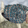 Now your dog can show off just like a peacock! Now your dog can show off just like a peacock!