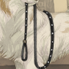 For the spoiled city dogs!