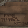 Uh oh! Someone's left a box of homeless kittens and puppies!
