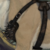 After all the pet stores have been raided, you have to make your own dog accessories out of strips of leather and rusty nails. After all the pet stores have been raided, you have to make your own dog accessories out of strips of leather and rusty nails.