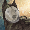 A protective suit for your dog, so that they can float through space safely! A protective suit for your dog, so that they can float through space safely!