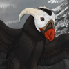 A cute little puffin that wants to play! A cute little puffin that wants to play!
