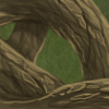 The great tree needs good roots to keep it sturdy.