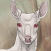 custom by #16934: A beautiful albino deer that use to inhabit my neighborhood. For invisible huskies only.