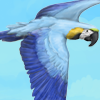 A gorgeous blue parrot soaring overhead.