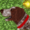custom by #15746: Ember\'s dog who is a german shorthaired pointer. the lines were drawn fro ember by K and she let me color them im ember xD<br /> follow sassy on instagram @sassythepointer