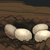 It looks like your dog has stumbled onto some kind of dinosaur\'s nest! It looks like your dog has stumbled onto some kind of dinosaur\'s nest!