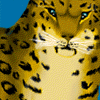 custom by #324: Kuutamo(324)'s feline persona,an Amur Leopard.