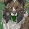 Uh oh...looks like your dog got into the toxic waste! Uh oh...looks like your dog got into the toxic waste!