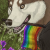 custom by #10935: Show your support! Huskies only. Art by Cord (#-13)