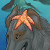It looks like your dog has accumulated some friends! It looks like your dog has accumulated some friends!