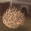 A lonely tumbleweed, drifting across the dusty ground.