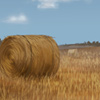 Bales of hay are hard work to harvest! Bales of hay are hard work to harvest!