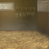 After a long day, a nice warm stable is a great place to rest. After a long day, a nice warm stable is a great place to rest.