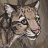 A beautiful endangered animal. +20 energy every 4 hours.