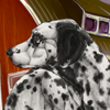 A loyal and athletic breed, this dalmatian is sure to be a good friend for your dog! +.25 drive daily