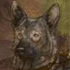 This loyal German Shepherd has joined you on your travels through this post-apocalyptic wasteland, and will keep you stocked on food and water. No hunger while equipped, and +10 health every 4 hours.