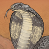 With venom that can both kill and heal, the cobra is a powerful and symbolic creature that commands respect. This serpent grants your dog +2 health every half hour.
