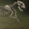 A skeletal canine romps through the yard! +2 energy per half hour.