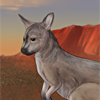 One of the most recognizable animals of Australia, this roo will guarantee the gender of future generations! Equipped to a female before breeding and during pregnancy, female pups will be born; equipped to the father, male pups will be born!