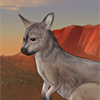 One of the most recognizable animals of Australia, this roo will guarantee the gender of future generations! Equipped to a female before breeding and during pregnancy, female pups will be born; equipped to the father, male pups will be born! One of the most recognizable animals of Australia, this roo will guarantee the gender of future generations! Equipped to a female before breeding and during pregnancy, female pups will be born; equipped to the father, male pups will be born!