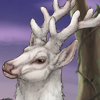 The white deer of myth and legend, said to bring good fortune to all who see it. Each day, he sheds some of his velvet, worth $500!