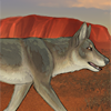 One of the most recognizable animals of Australia, this dingo will guarantee the gender of future generations! Equipped to a female before breeding and during pregnancy, female pups will be born; equipped to the father, male pups will be born! One of the most recognizable animals of Australia, this dingo will guarantee the gender of future generations! Equipped to a female before breeding and during pregnancy, female pups will be born; equipped to the father, male pups will be born!
