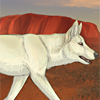 One of the most recognizable animals of Australia, this dingo will guarantee the gender of future generations! Equipped to a female before breeding and during pregnancy, female pups will be born; equipped to the father, male pups will be born!