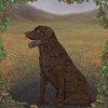 September 2013 Bundle: Receive Autumn Valley Background, Chocolate Labrador, Yellow Labrador, & Black Byrony.