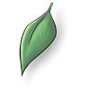 This magical leaf will grant you all of the monthly items from January 2013!