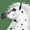 custom by #15149: Rearing Appaloosa mustang. Art by #18305