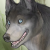 custom by #724: The Leader of The HotahKelu Wolves.<br /> <br /> custom by #724: The Leader of The HotahKelu Wolves.<br /> <br />