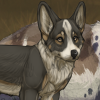Some precious puppies will keep your dog busy! Some precious puppies will keep your dog busy!
