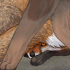 A frightened fox hides from hunters. A frightened fox hides from hunters.