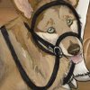 Maybe your dog can perform dressage! Maybe your dog can perform dressage!
