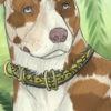 A gift to all Alacrites who survived and stuck with us during a huge server move that caused tons of bugs and sadly caused some dogs to die. So long as they wear this collar, your dog will receive +5 health every 4 hours!