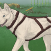 Custom by #38: An elite harness for your Iditarod champion sled dog!