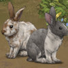Adorable little bunnies! Easter 2013.
