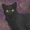 A simple black cat may be more than it seems. A simple black cat may be more than it seems.