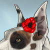 A pretty poppy to adorn your pup`s ear!