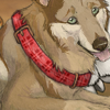 A pretty plaid collar for your favorite canine friend!