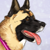 custom by #3598: Woof! It's an Akita! Don't worry though, she's friendly! 